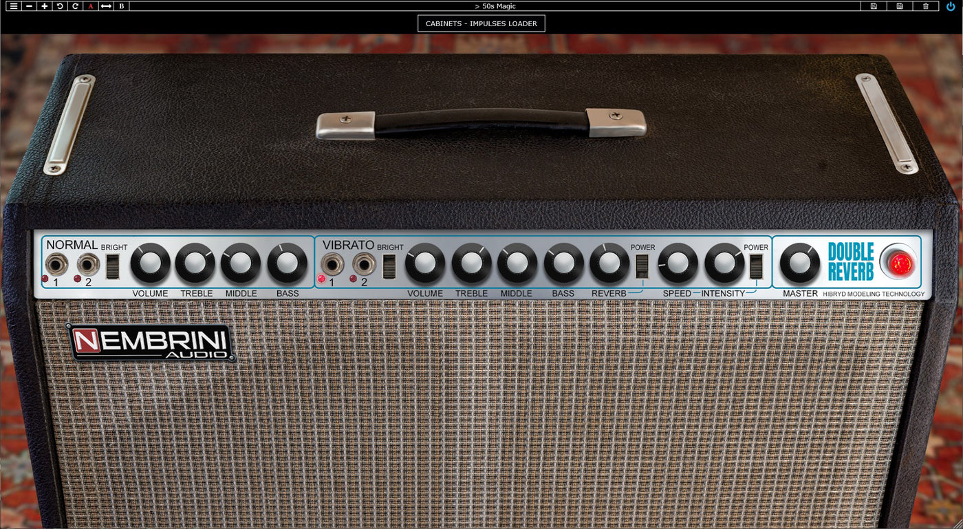 Double Reverb Guitar Amplifier